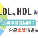 LDL、HDL：別再誤會膽固醇！它是血管清道夫